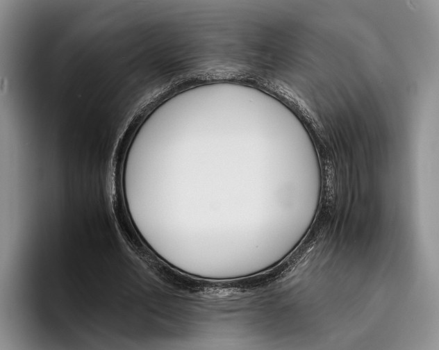 X0000096380582200802211123