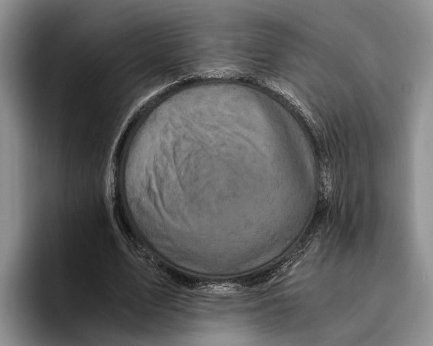 X0000096380583200802211123