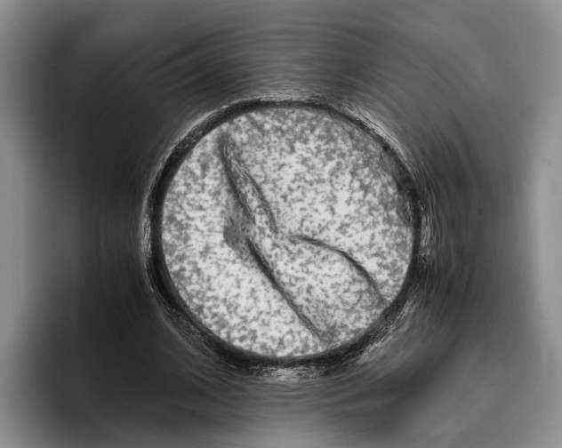 X0000096380584200802211123