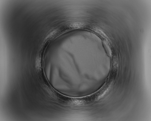 X0000096380585200802211123