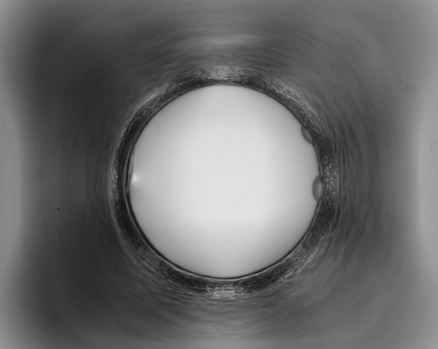 X0000096380587200802211123