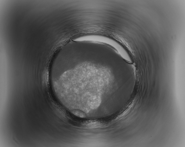 X0000096380589200802211123