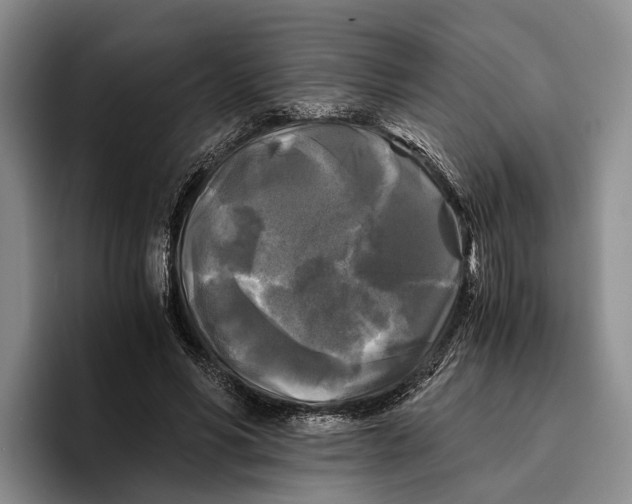 X0000096380590200802211123