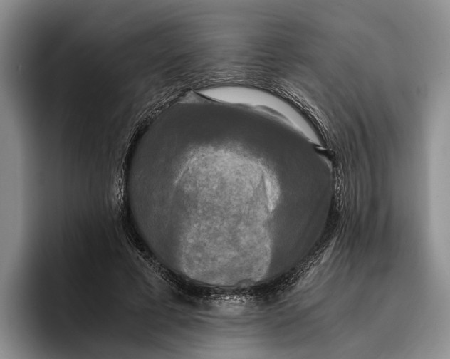 X0000096380593200802211123