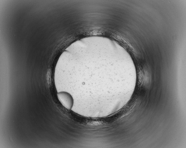 X0000096380594200802211123