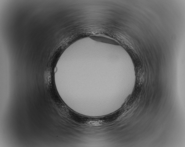 X0000096380595200802211123