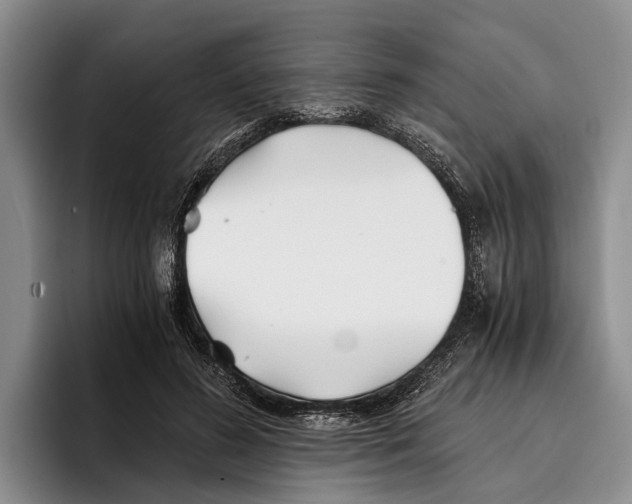 X0000096380596200802211123