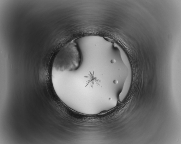 X0000096380597200802211123
