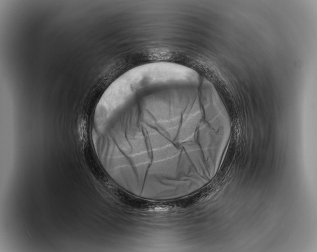 X0000096380598200802211123