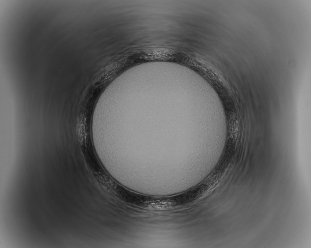 X0000096380599200802211123