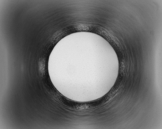 X0000096380600200802211123