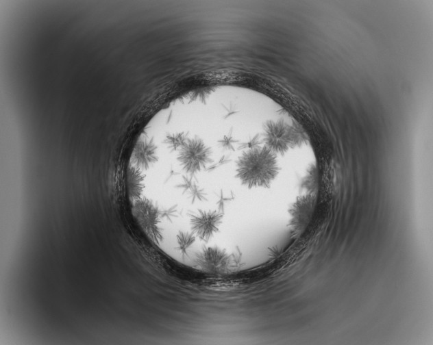 X0000096380601200802211123
