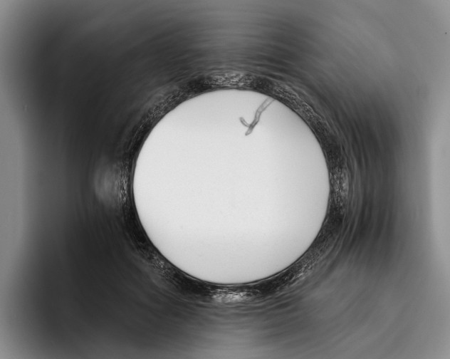 X0000096380602200802211123