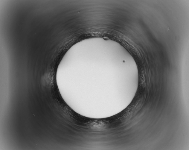 X0000096380604200802211123