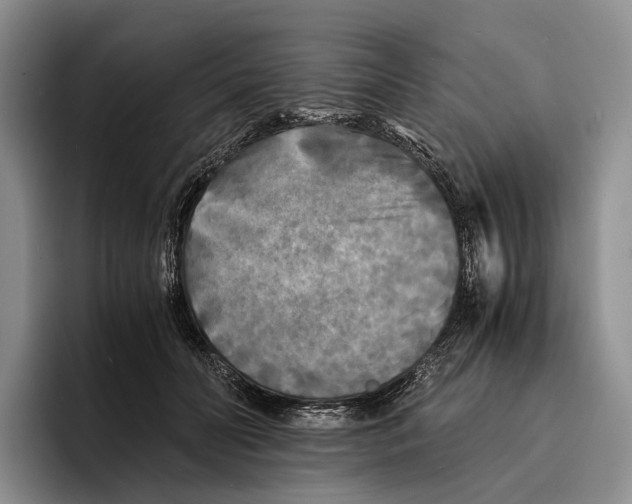 X0000096380606200802211123