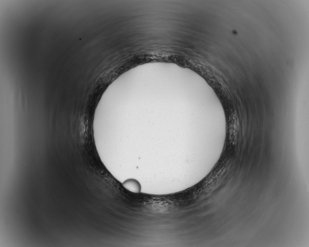 X0000096380608200802211122