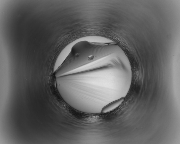 X0000096380609200802211122