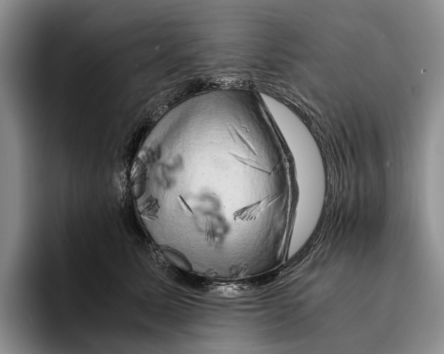 X0000096380611200802211122