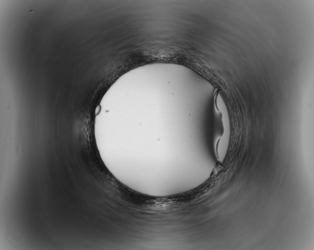 X0000096380612200802211122