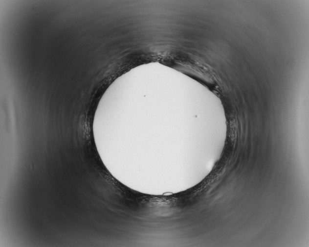 X0000096380613200802211122