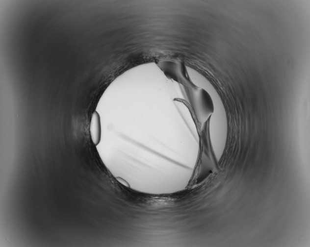 X0000096380617200802211122