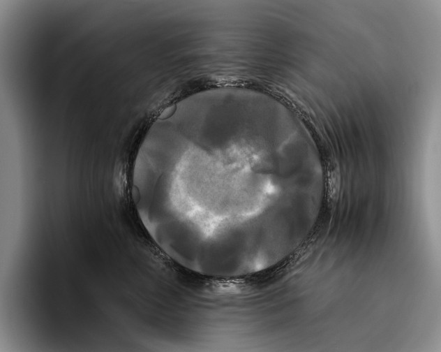 X0000096380618200802211122