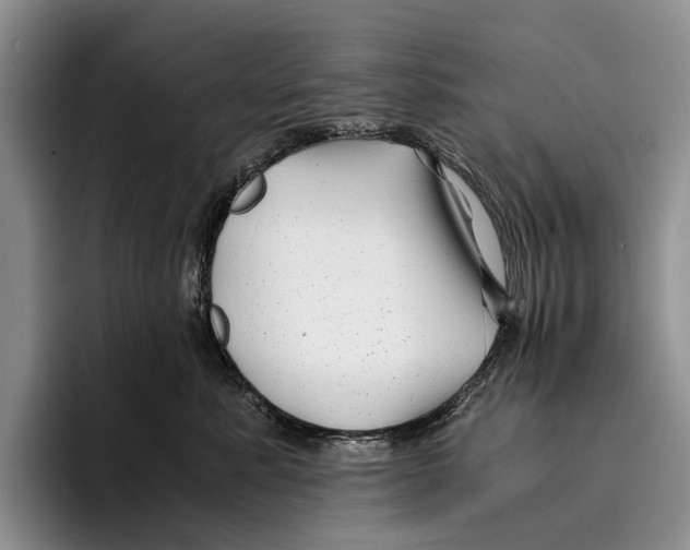 X0000096380619200802211122