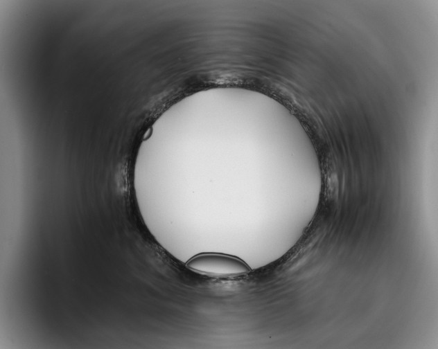 X0000096380620200802211122