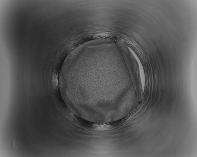 X0000096380621200802211122