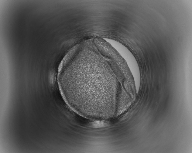 X0000096380623200802211122