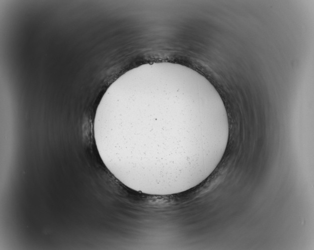 X0000096380624200802211122