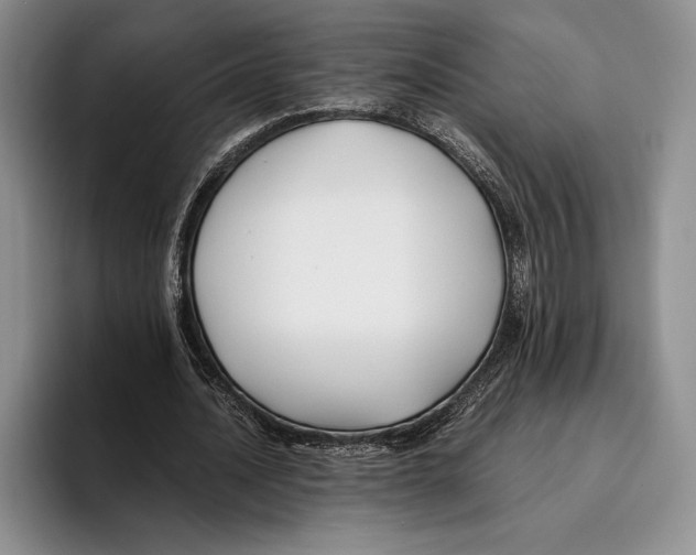 X0000096380628200802211122