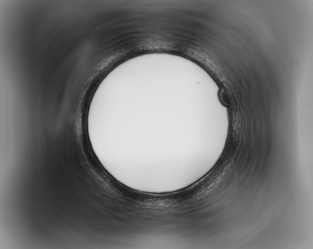 X0000096380629200802211122