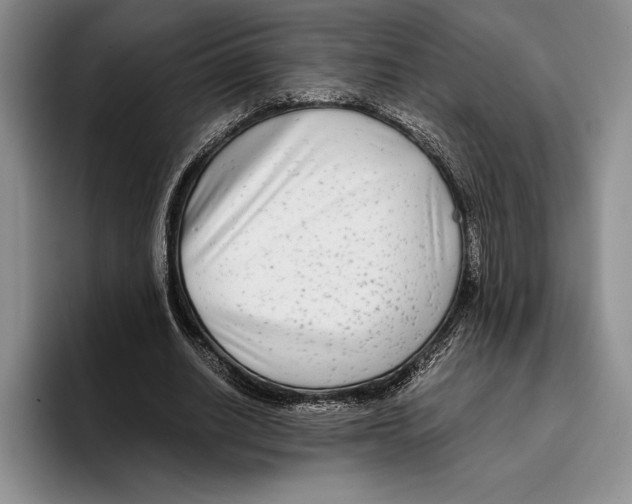 X0000096380630200802211122