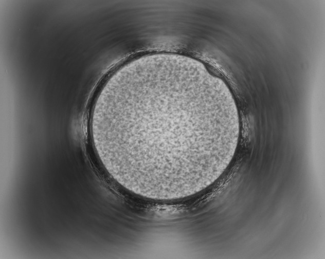 X0000096380632200802211122