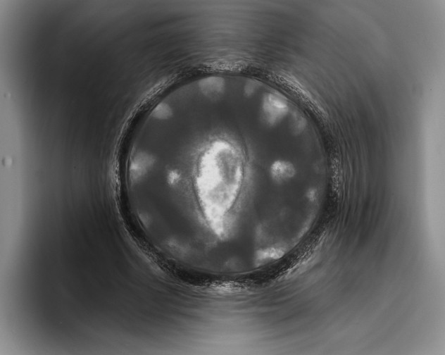 X0000096380634200802211122