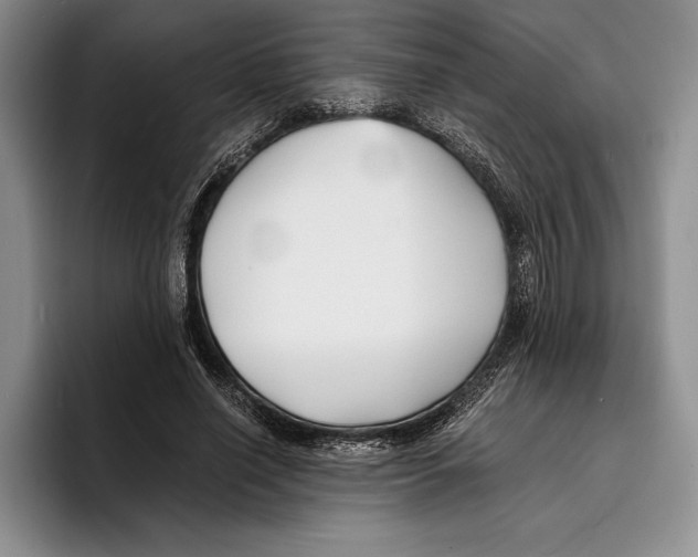 X0000096380638200802211122