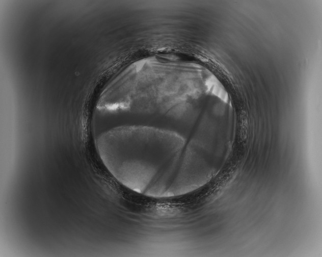 X0000096380641200802211122