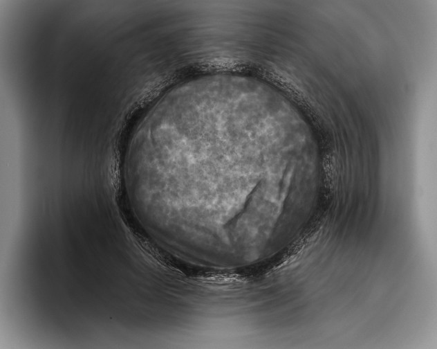 X0000096380642200802211122