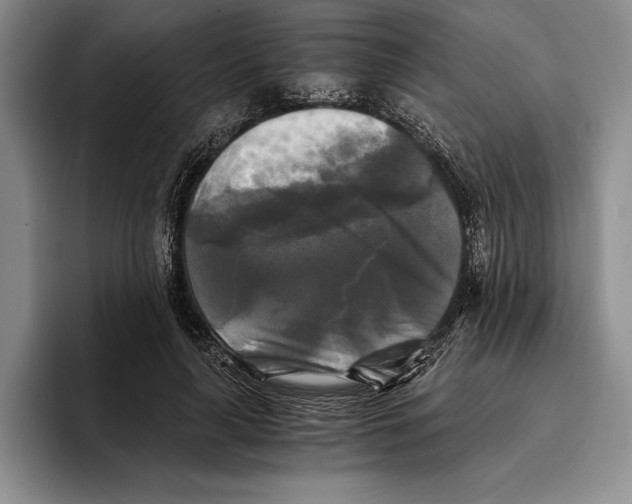 X0000096380643200802211122