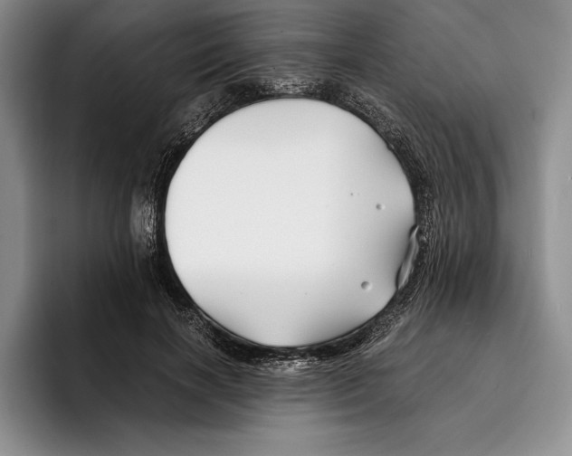 X0000096380646200802211122