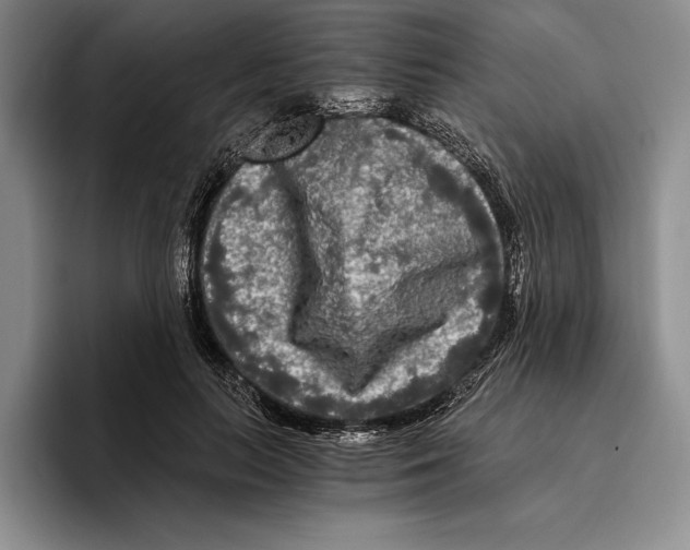 X0000096380647200802211122