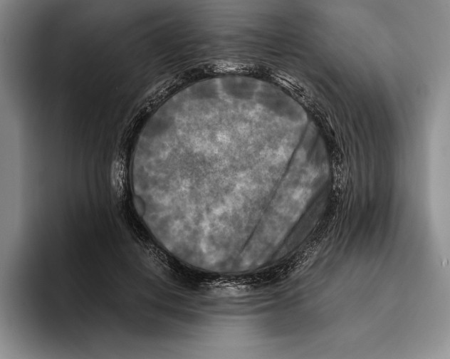 X0000096380648200802211122