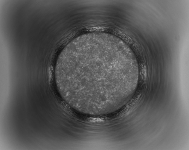 X0000096380649200802211122