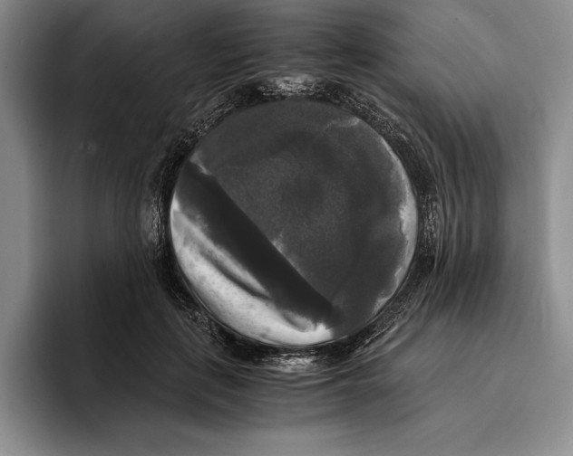 X0000096380651200802211122