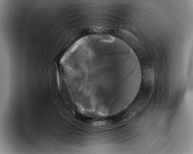 X0000096380653200802211122