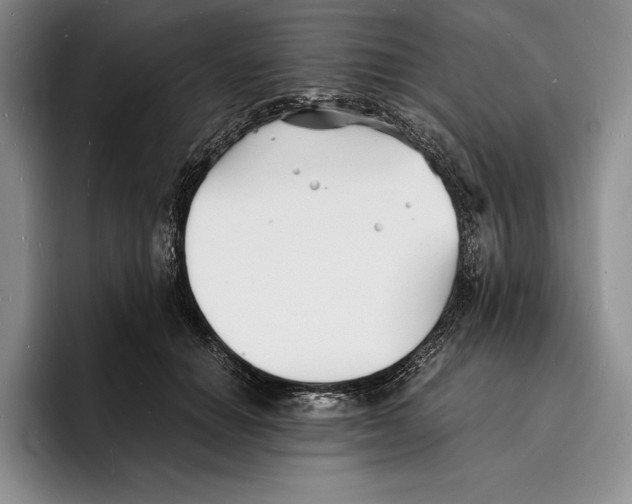 X0000096380654200802211122