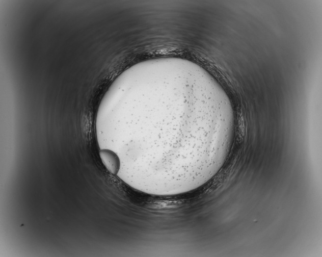 X0000096380657200802211122