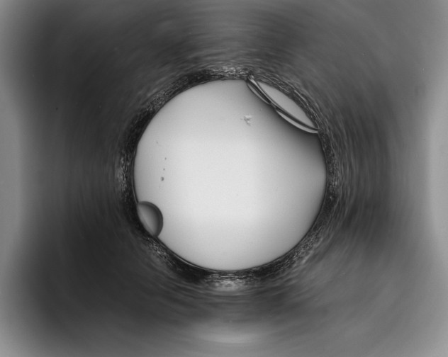 X0000096380658200802211122