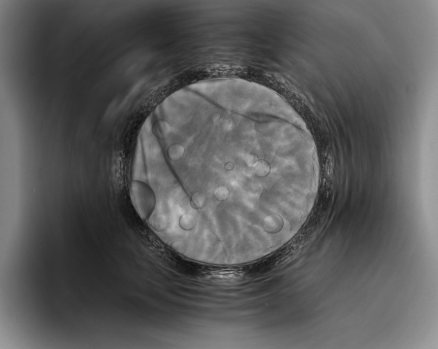 X0000096380659200802211122